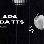 Kelapa Muda TTS